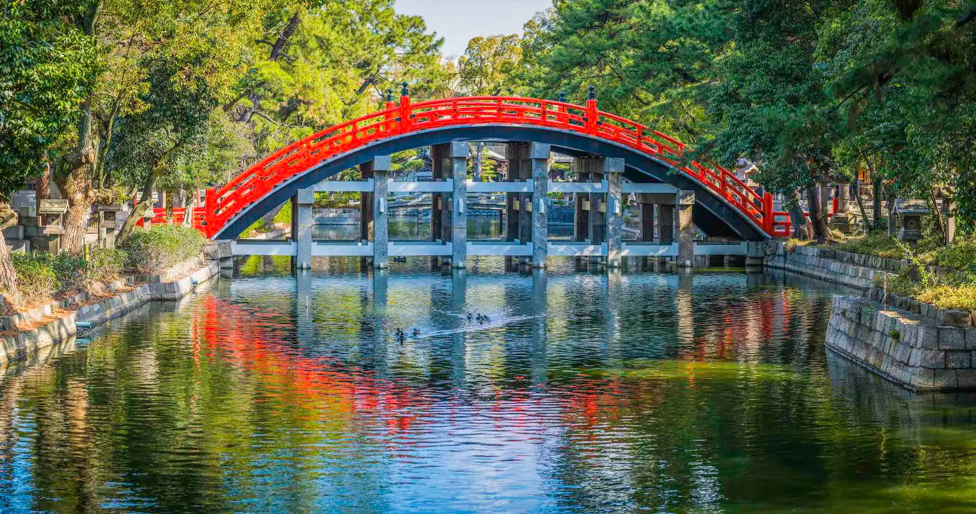 The bright red taiko-bashi drum bridge at Sumiyoshi Taisha shrine reflected in the pond — quiet morning stop on a private Osaka walk